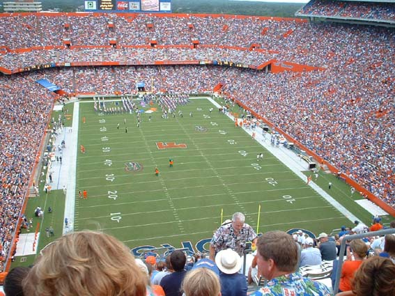 gator2.jpg
